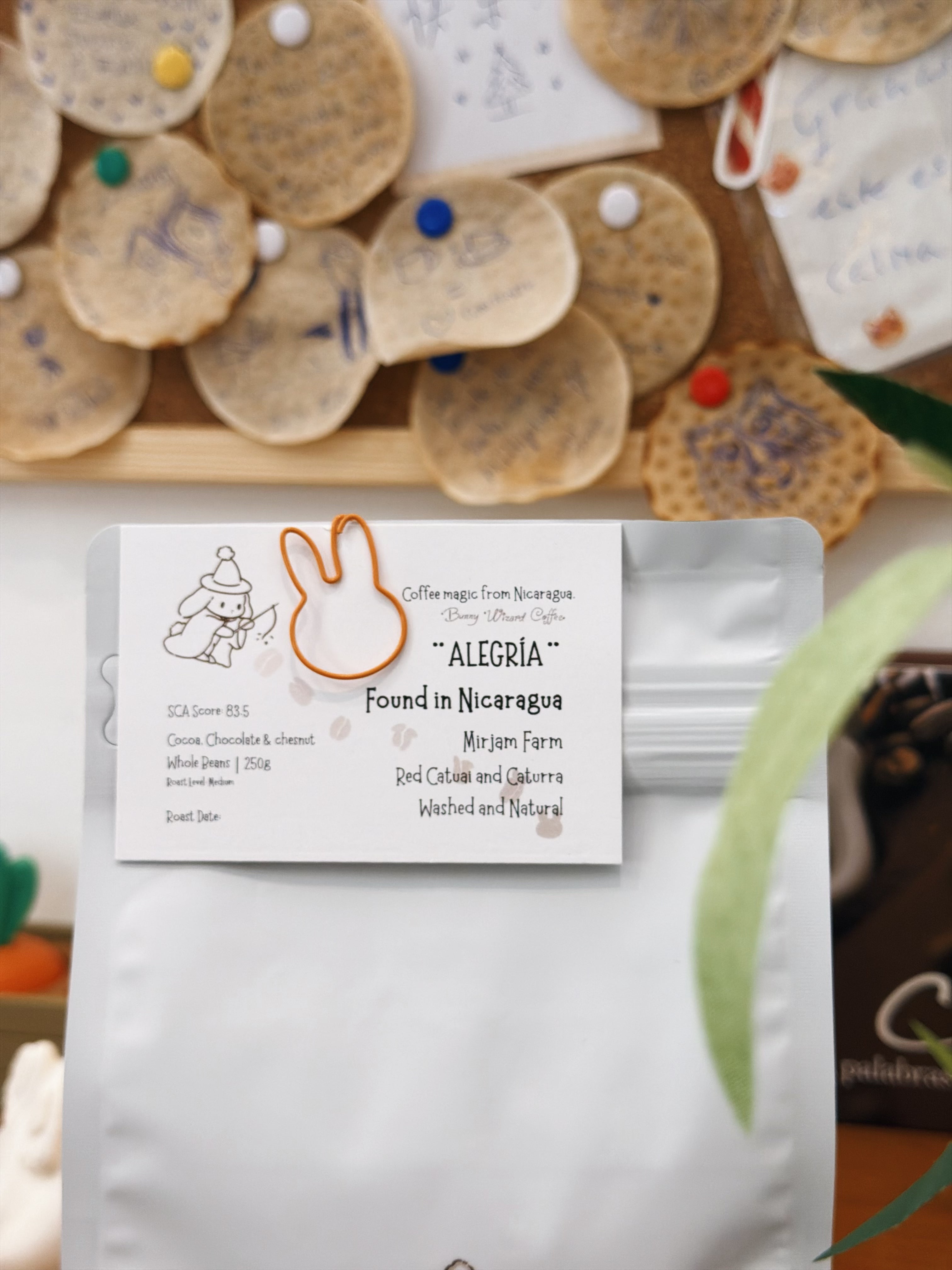 ALEGRÍA