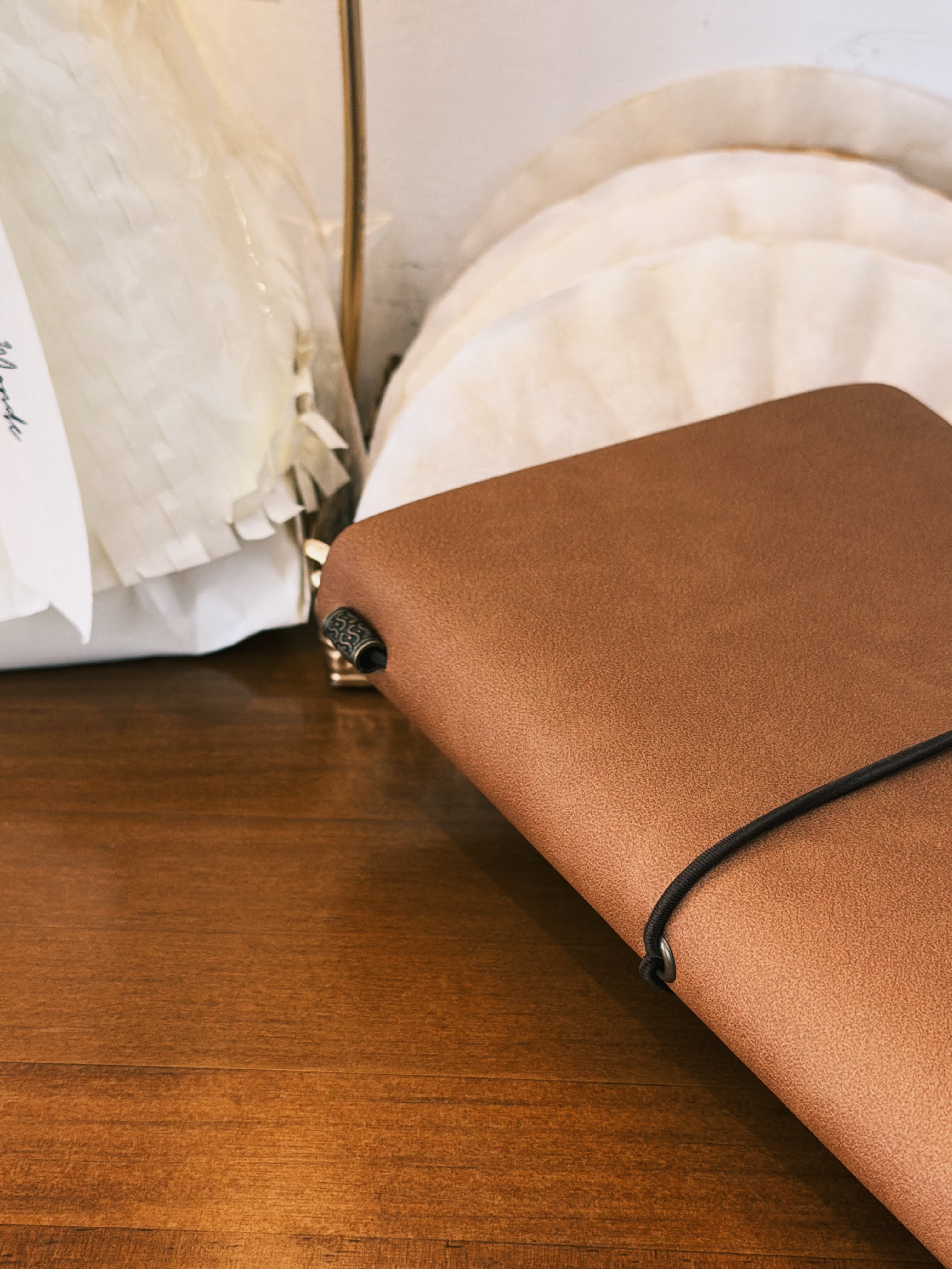 Journal de Viaje