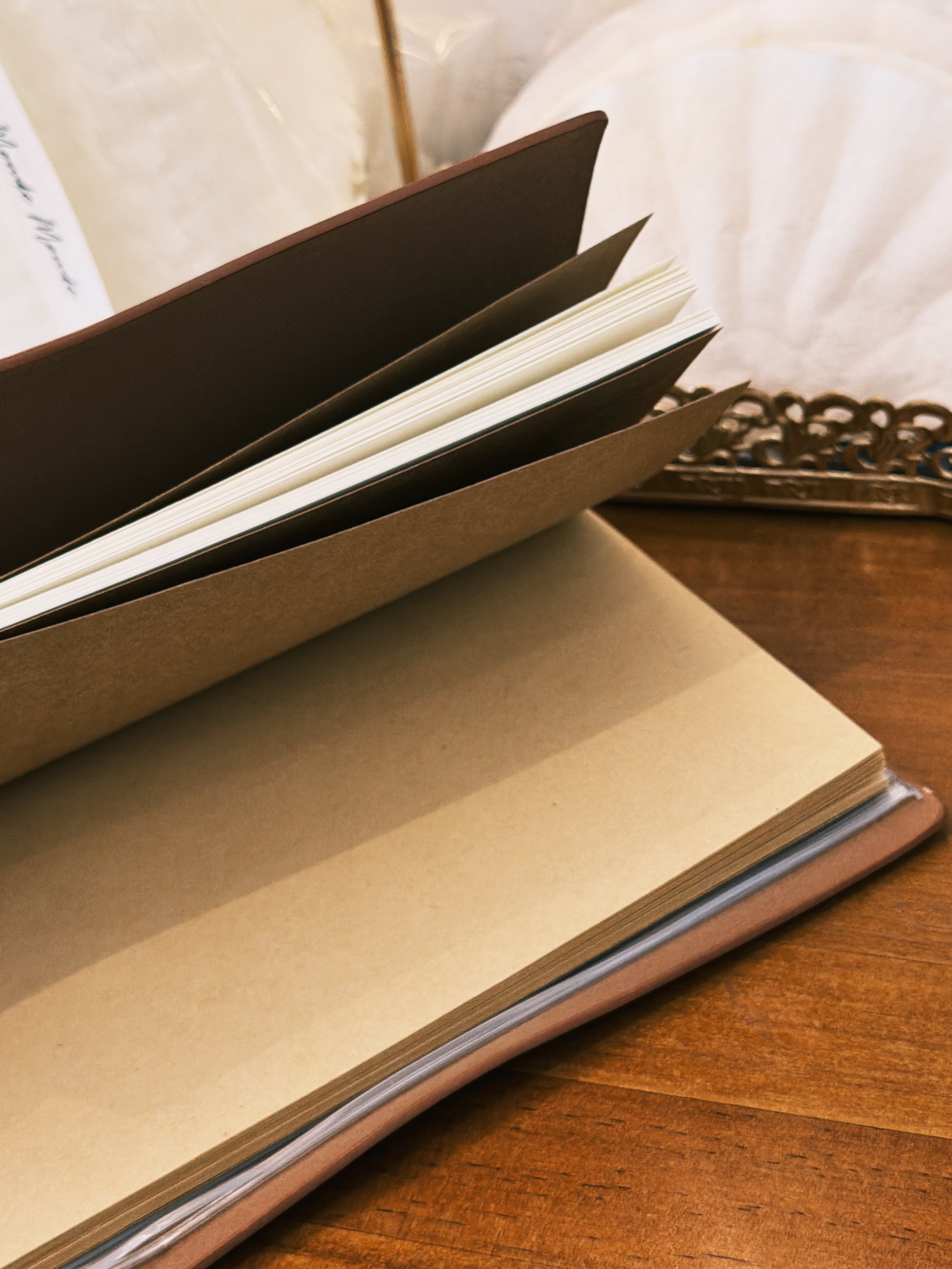 Journal de Viaje